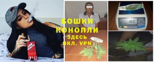 прущие крисы Алзамай