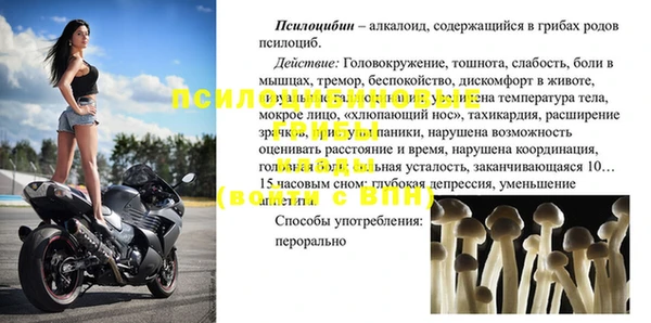 прущие крисы Алзамай
